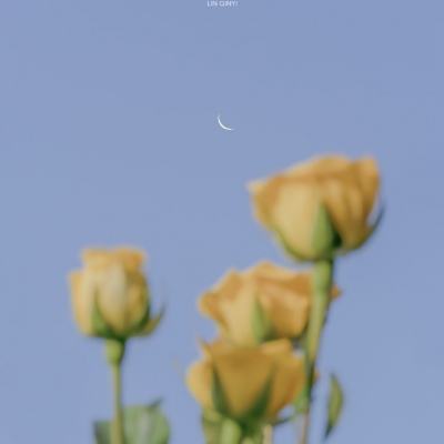 taptap暴走大侠破解版下载